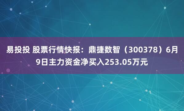 易投投 股票行情快报：鼎捷数智（300378）6月9日主力资金净买入253.05万元