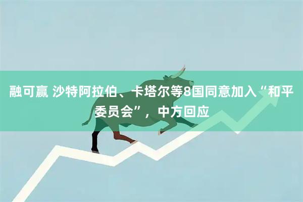 融可赢 沙特阿拉伯、卡塔尔等8国同意加入“和平委员会”，中方回应