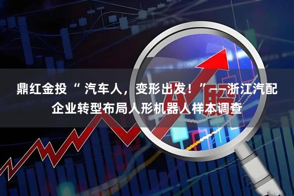 鼎红金投 “ 汽车人，变形出发！”——浙江汽配企业转型布局人形机器人样本调查
