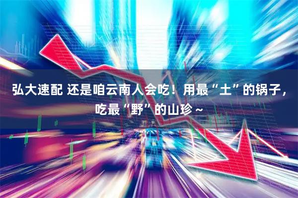 弘大速配 还是咱云南人会吃！用最“土”的锅子，吃最“野”的山珍～